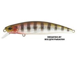 DUO-Tide-Minnow-90F-ADA3058