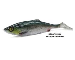 Savage-Gear-LB-4D-Herring-Shad-160-Green-Silver