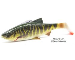 Savage-Gear-LB-4D-River-Roach-Pike