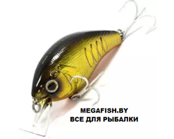 Deps-Korrigan-Magnum-250-01