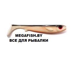 Kanalgratis-Flatnose-Shad-Dirty-Roach