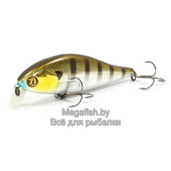 Vobler-Pontoon21-Bet-A-Shad-83SP-SR-007