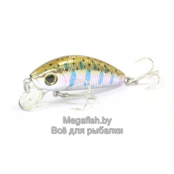 Yo-Zuri/Duel-L-Minnow-44S-M113