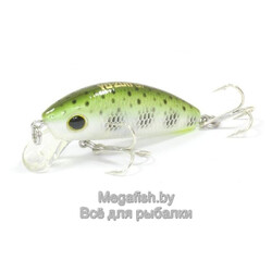 Yo-Zuri/Duel-L-Minnow-44S-MDM