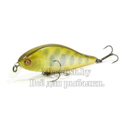 Pontoon21-Bet-A-Shad-75SP-SR-351