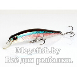 Воблер DUO  модель Realis Jerkbait 100SP, 100мм, 14.5 гр. D13