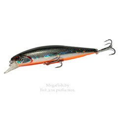 vobler-duo-realis-jerkbait-100sp-suspending-d81