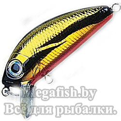 Vobler-Yo-Zuri-L-Minnow-M37