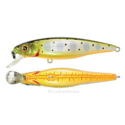 voblery-pontoon21-greedy-guts-88sp-sr-11,7gr-suspending-451