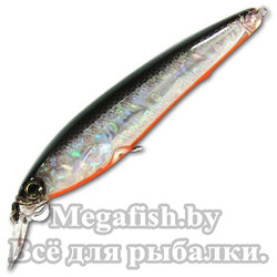 Воблер Yo-Zuri 3DS Minnow 100SP F1157 Цвет: HTS