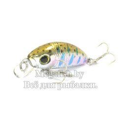 Yo-Zuri/Duel-L-Minnow-66S-M113