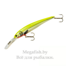Bandit-B-Shad-15
