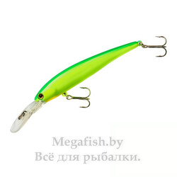 Bandit-B-Shad-19