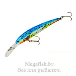 Bandit-B-Shad-67