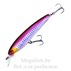 Воблер Yo-Zuri 3DS Minnow 100SP Цвет: HHWS