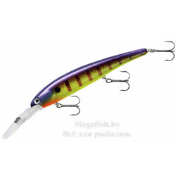 Bandit-Deep-Walleye-D73