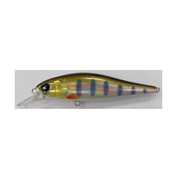 Lucky-John-Anira-69LBSP-704
