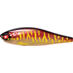 Lucky-John-Anira-39LBSP-113