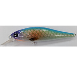 Anira-89LBSP-701