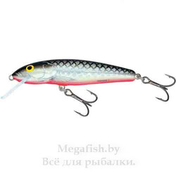 Воблер плав. Salmo MINNOW F 09/GS