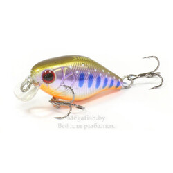 strike-pro-cranky-40-A142-264