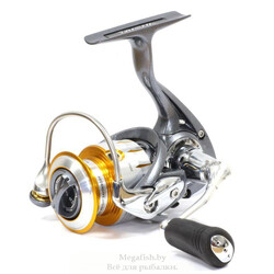 katushka-bezynercionnaya-daiwa-freams-11-2508
