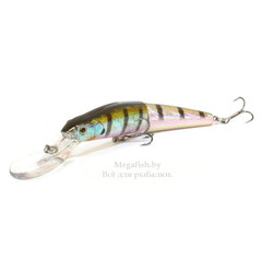 strike-pro-mr.-wiggly-tl-110-630v