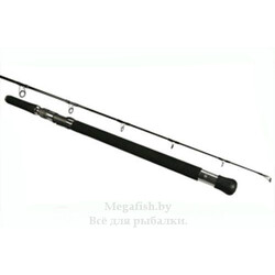 trollingovye-udilishha-black-hole-force-line-120-300gr-2.25m