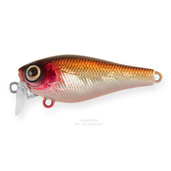 Strike-Pro-Medium-Trank-36F-864PPV
