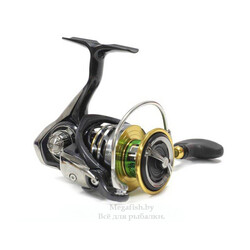 bezynercionnye-katushki-daiwa-exceler-17-lt-2500d-c