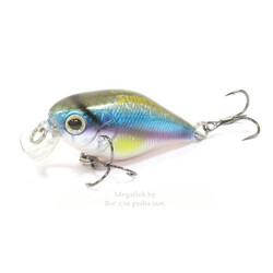 strike-pro-cranky-40-a210-sbo-rp