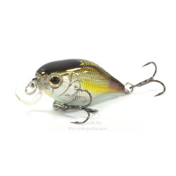 strike-pro-cranky-40-a218-gsal-ep