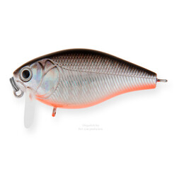 vobler-strike-pro-cranky-x-ss-50-floating-a70-713