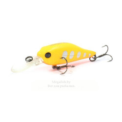 vobler-pontoon21-cheerful-40f-mr-floating-r43