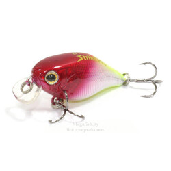 strike-pro-cranky-40-x10-sbo