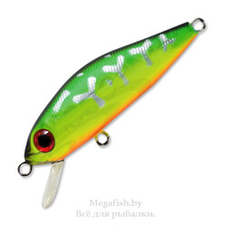 voblery-pontoon21-crackjack-98sp-mr-suspending-070