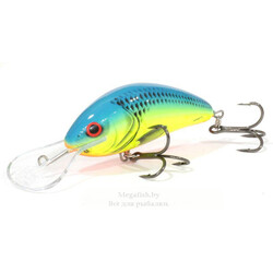 vobler-salmo-hornet-f-04-cb