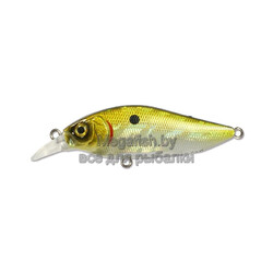 Воблер Inborn XS 60F (6см, 6,45гр, 0,3-0,7м) floating GTR InbxS60F-GTR