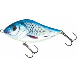 Salmo-Slider-S06-RSH