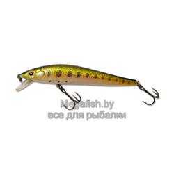 Воблер The Legend XS 118F (11,8см, 19гр, 0,3-1,2м) floating NT ZLNxS118F-NT