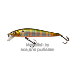 Воблер The Legend XS 90F (9см, 11гр, 0,3-1,2м) floating PNT ZLNxS90F-PNT