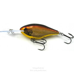 rapala-risto-rap-rr07-galb
