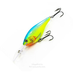 rapala-risto-rap-rr07-prt