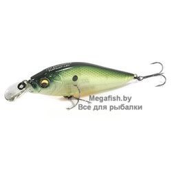 Vobler-Flap-Slap-LBO-PM-Ghost-Chart-Shad