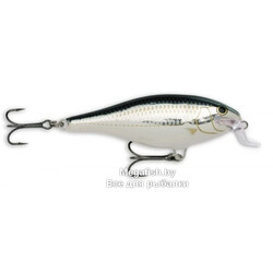 Rapala-Shallow-Shad-Rap-SSR-09-ALB