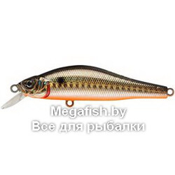 Archback-100-613-713