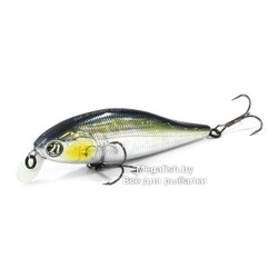 Bet-A-Shiner-68SP-SR-R30