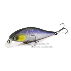 Bet-A-Shiner-68SP-SR-A11