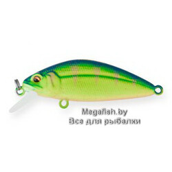 Shifty-Shad-Shallow-80SL