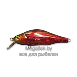 vobler-zipbaits-khamsin-sr509r